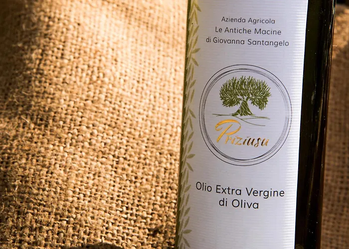Casa Le Antiche Macine Bilocale immerso fra gli ulivi